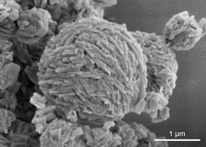 A highly detailed scanning electron microscope (SEM) image showcasing the intricate structure of silver nanostructures, with a scale marker indicating 1 micrometer. The myriad of rod-like formations aggregated into a larger spherical formation exemplifies the kind of complex materials analyzed through modern spectroscopy techniques, highlighting the precision and nanoscale resolution these methods bring to chemical analysis.