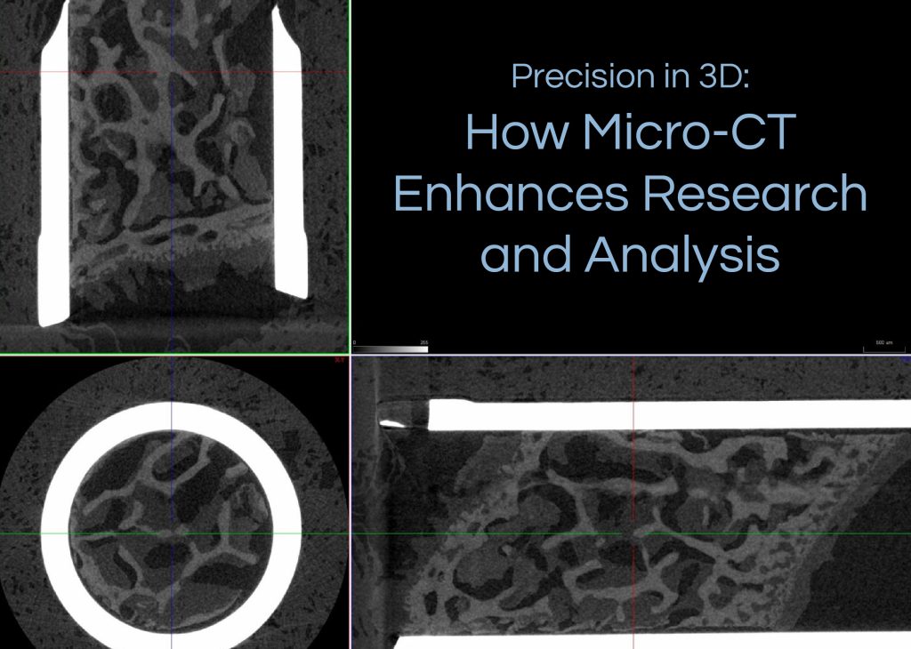 Precision in 3D: How Micro-CT Enhances Research and Analysis