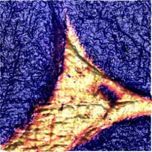 Nanochemical AFM-IR image of carbon fibres in epoxy resin.