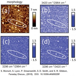 AFM-IR study of water update into Organic Coatings for Corrosion control