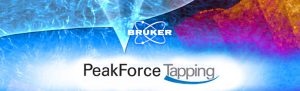 Bruker AFM: PeakForce Tapping