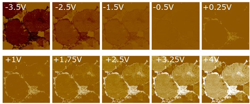 Imaging Lithium ion battery cathodes with AFM