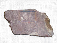 Analysis of geological samples