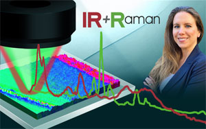 IR & Raman in Paint Forensics