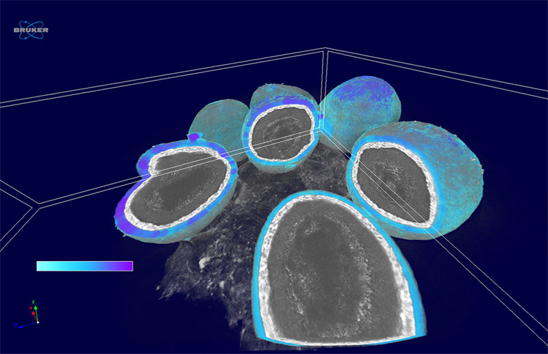 Micro-CT scan of coatings on a pharmaceutical drug 