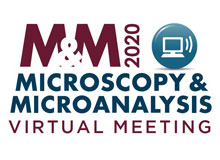 Microscopy and Microanalysis Virtual Meeting 2020