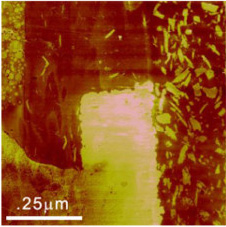 Scanning Thermal Microscopy