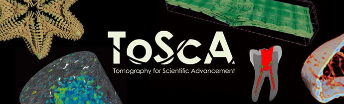 ToScA 2020